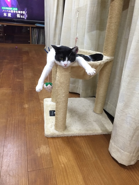 F92F00B8-E85F-439D-918B-DC50514E0D18.jpeg
