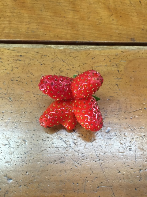 571A585B-C7CF-4C79-A1F7-3635E6A947CA.jpeg