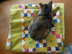DSCN0351.JPG