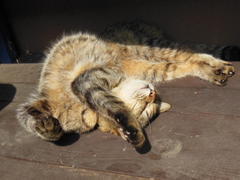 DSCN0497.JPG