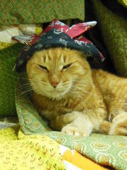 DSCN0454.JPG