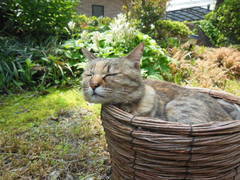 DSCN0611.JPG