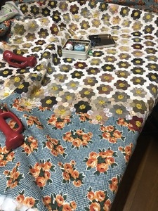 IMG_7021.jpeg