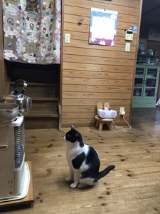 IMG_7061.jpeg