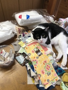 IMG_8370.jpeg