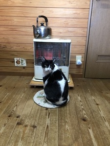 IMG_8693.jpeg