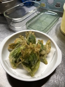 IMG_8757.jpeg