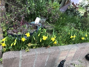 IMG_8765.jpeg