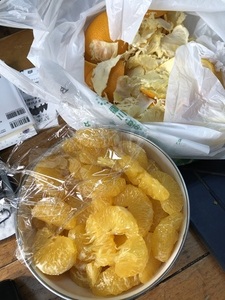 IMG_8779.jpeg